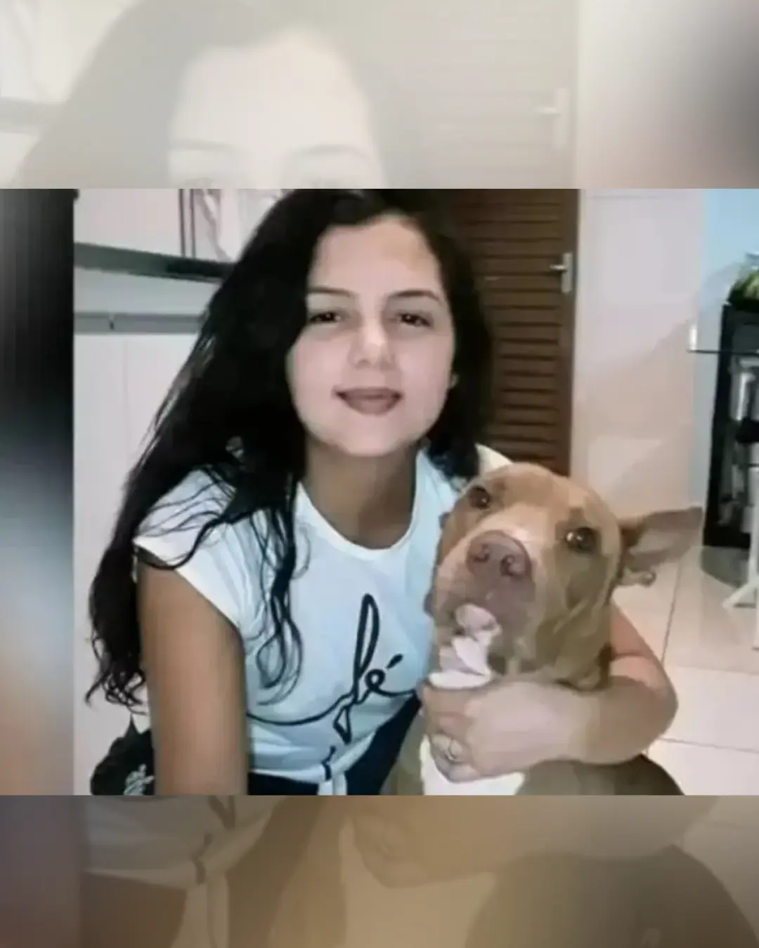Mulher é atacada e morta por pitbull em residência; vizinhos sacrificam o animal após tragédia Mulher é atacada e morta por pitbull em residência; vizinhos sacrificam o animal após tragédia