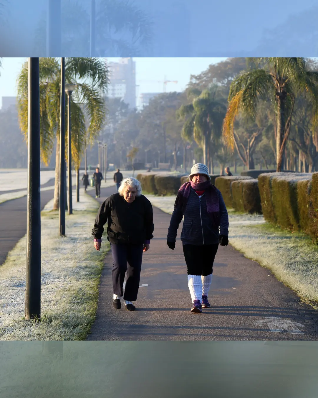Frio intenso no Paraná fará mínimas caírem até 15°C e pode causar geadas Frio intenso no Paraná fará mínimas caírem até 15°C e pode causar geadas