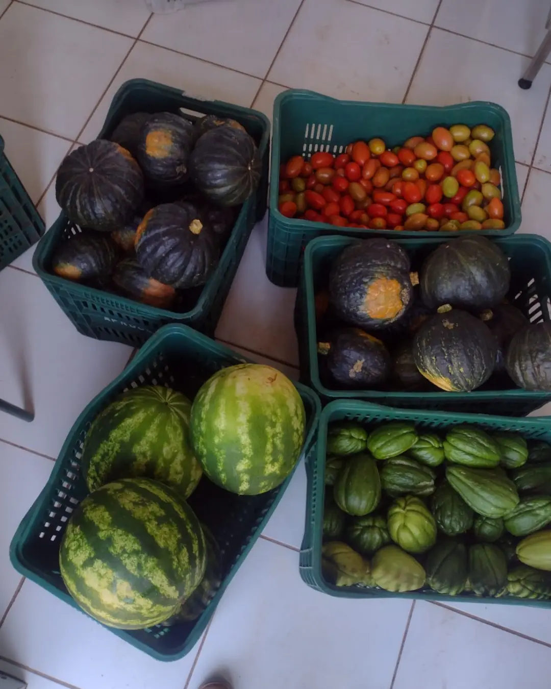 Gestão municipal de CDS amplia compra de produtos através do PNAE