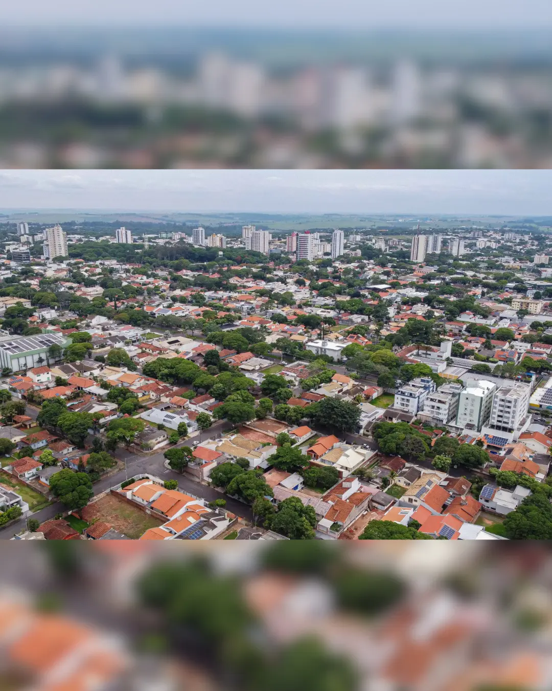 Paraná tem crescimento de 21,35% no saldo de empresas nos 5 primeiros meses de 2025