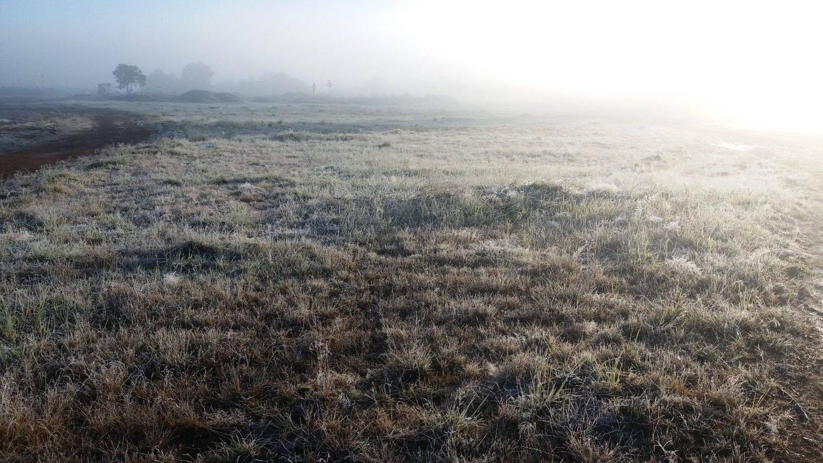 Frente fria no Estado: menor temperatura do Paraná é registrada em Palmas