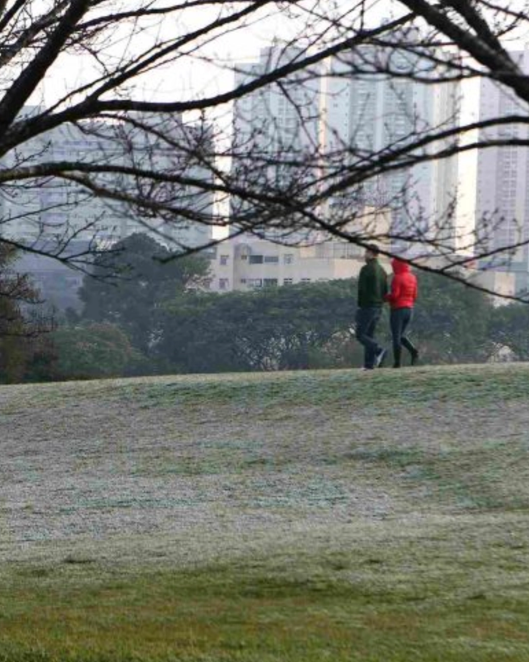 Imagem de destaque - Alerta de neve no Paraná: veja quando fenômeno deve acontecer