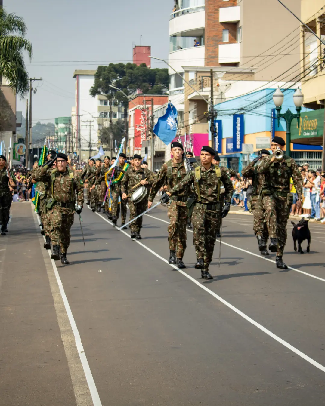 Patriotismo em evidência no Desfile 7 de Setembro em Palmas