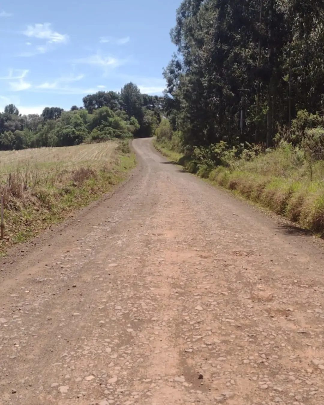 Rodovia entre Clevelândia e Mangueirinha terá investimentos de R$ 8,1 milhões