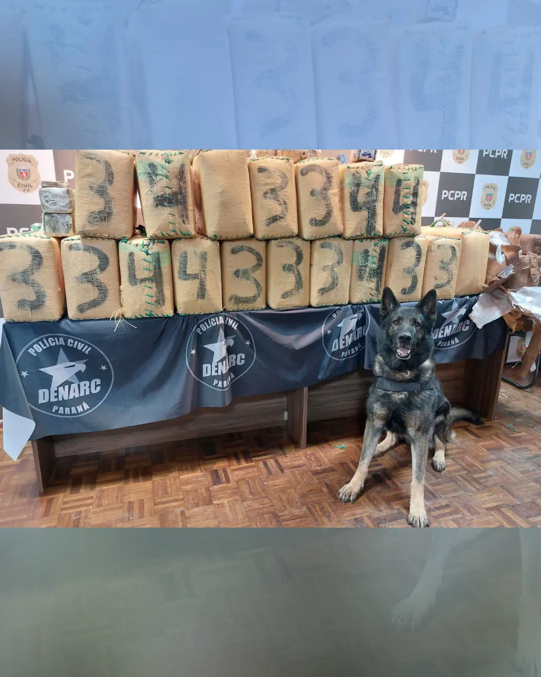 Polícia Civil do Paraná apreende 704 quilos de haxixe em Campina Grande do Sul, maior apreensão da droga no Estado