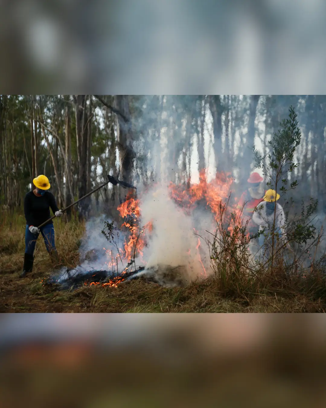 Comandante do Corpo de Bombeiros de Palmas alerta sobre incêndios