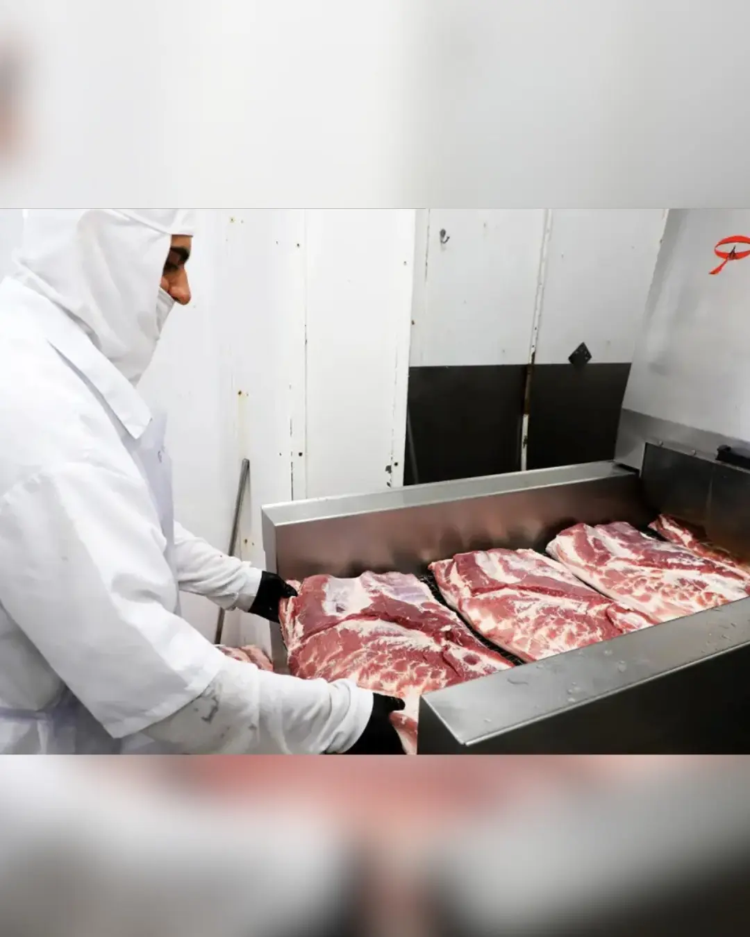 Paraná conquista reconhecimento internacional e poderá exportar carne bovina e suína ao Chile
